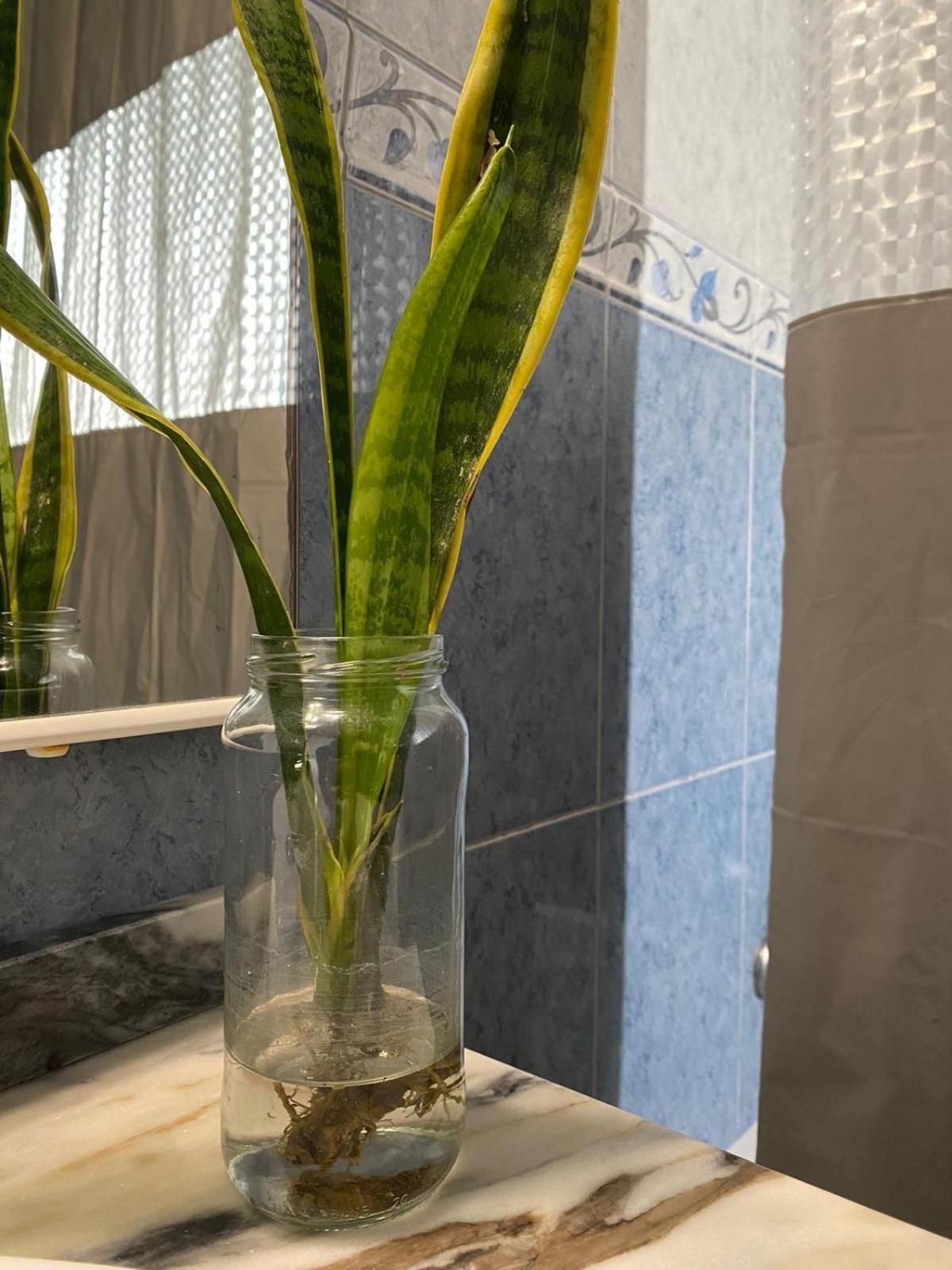 Luz'S Retreat Apartment Πόντα Ντελγκάντα Εξωτερικό φωτογραφία